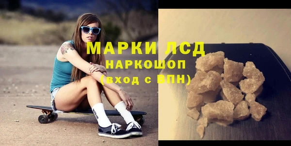крисы Новодвинск