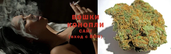 крисы Новодвинск