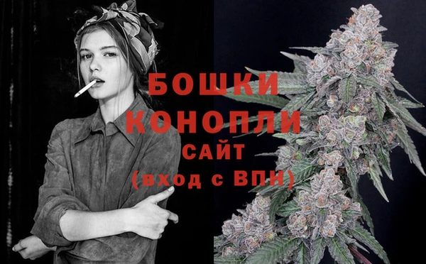 соль курить ск Новозыбков