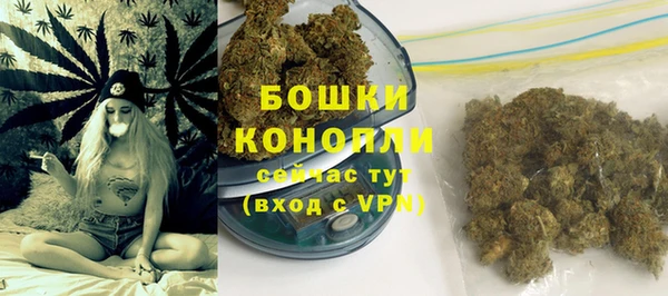 крисы Новодвинск