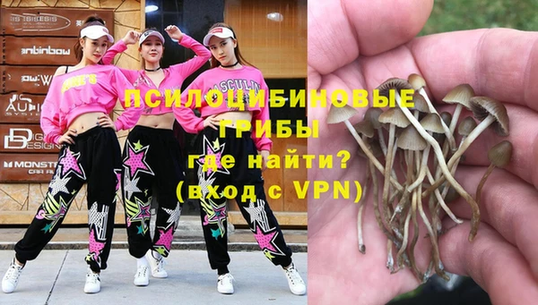 крисы Новодвинск